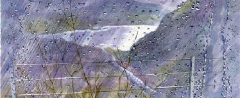 R. Wels_ Wet Weather Wales Watercolour